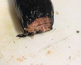 ネギトロール作り方4写真