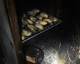 マッサンも愛した？失敗しない牡蠣の燻製！作り方9写真