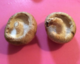 ピリっと椎茸のチーズマヨ焼き作り方1写真
