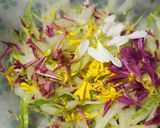 花がいっぱい✿サラダマムと白菜のサラダ✿作り方5写真