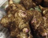 菊芋でヘルシーカレー作り方1写真