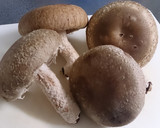 簡単☆椎茸のネギマヨチーズ焼き作り方1写真
