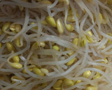 もやしとひじきの煮物のあえもの作り方1写真