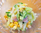 白菜万歳♪コールスロー作り方5写真