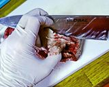 肉屋流とろける口どけ牛タン絶品シチュー作り方1写真