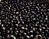 おやつに、黒豆茶に…炒り黒豆作り方2写真