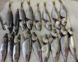 常備菜に！豆鯵の南蛮漬け！作り方6写真