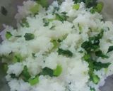 材料3つ❤大根葉の混ぜ混ぜ菜飯☆作り方2写真