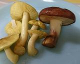 シモコシなど3種のキノコと大根の味噌汁作り方2写真