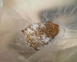 小麦粉・蜂蜜・油だけで手作りクッキー作り方8写真