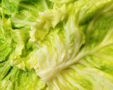 豆腐でヘルシー ロールキャベツケーキ作り方8写真