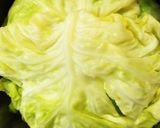 豆腐でヘルシー ロールキャベツケーキ作り方10写真