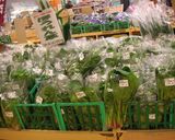 めっけもん♪旬野菜のペペロンチーノ風作り方1写真