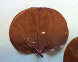 懐かしの味❖かからん団子♪作り方12写真
