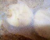 レンジで超簡単♡ほっこり薩摩芋のごま煮作り方4写真