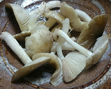 シモフリシメジの焼きキノコ（絶品！）作り方3写真