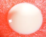 クルミ入り大福作り方2写真