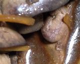 ふわっふわ鶏レバーの簡単な煮物作り方6写真