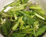 無駄にしない！大根やカブの葉のおしんこ作り方1写真
