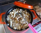 ストウブで鶏むね肉と豆腐のあんかけ親子煮作り方7写真