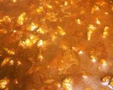 簡単だけど濃厚な味、ミートソースパスタ作り方5写真