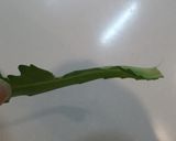 簡単5分♪春菊のシーザーサラダ作り方1写真