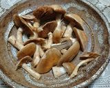 フウセンタケモドキの焼きキノコ作り方3写真