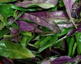 加賀野菜＊金時草で＊ちらし寿司作り方1写真