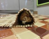 絵巻きずし♡トナカイさん作り方8写真
