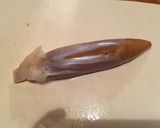 秘伝☆イカの塩辛じゃ！作り方1写真