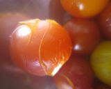 色鮮やかな一品「プチトマト３色玉」作り方3写真