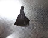あったかとろ~り根昆布しょうが湯♡作り方1写真