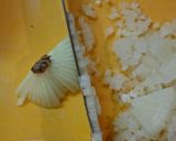 超簡単！玉ねぎ無駄なくみじん切り！作り方6写真