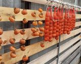 早わざ甘い干し柿作り方2写真