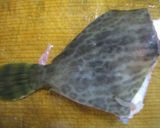 カワハギを捌こう　～カワハギの煮付け～作り方1写真