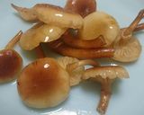 ナラタケ（ボリボリ）うどん作り方2写真