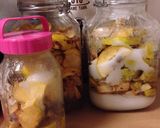 カリン生姜シロップ作り方5写真