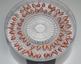 簡単☆一番人気☆食品乾燥機でドライいちご作り方6写真