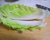 混ぜるだけ。白菜とシーチキンのツナサラダ作り方1写真