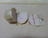 ピクルスでポテト（マカロニ）サラダ作り方4写真