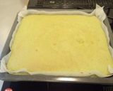 リースケーキ&フルーツ☆クリスマスカマン作り方13写真