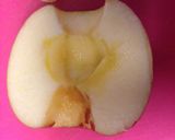 包丁苦手でもリンゴを食べよう作り方11写真