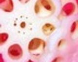 短時間で簡単にお煮しめ♪作り方6写真