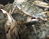 (●ó౪ò●)カニ飯作り方1写真