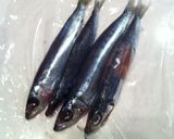 鰯の丸干し作り方5写真