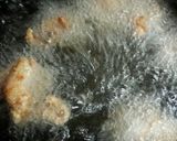 お店屋さんみたいな、鳥の唐揚げ！作り方8写真