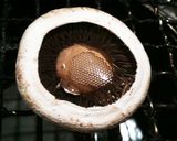 韓国流マッシュルームの食べ方作り方2写真