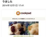 おやつに簡単♪油卵不使用＊懐かし蒸しパン作り方11写真