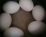 ゆでたまご作り方1写真