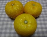 保存袋で作る「ゆず塩」作り方1写真